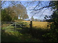 Entrance to field opposite Home farm