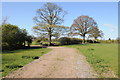 A field off Slimbridge Lane