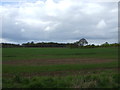 Farmland off The Balk