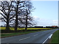 SE3879 : A167 towards Northallerton by JThomas