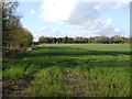 Farmland near Carlton Miniott