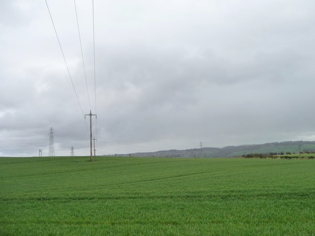 Telegraph wires crossing farmland