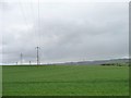 NZ1661 : Telegraph wires crossing farmland by Christine Johnstone