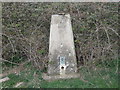 Ordnance Survey Trig Pillar S1813