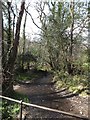 Liverton Brook at Woodhouse Bridge