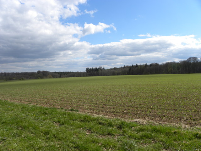 Field near Stourhead