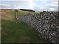 NY7205 : Jervis Cross and the boundary wall of Ravenstonedale Park by Karl and Ali