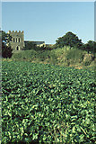 SP9799 : Tixover Church, from the banks of the Welland by Christopher Hilton