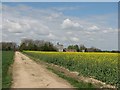 Nearing Abington Park Farm