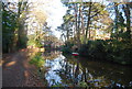 Basingstoke Canal