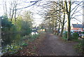 Towpath, Basingstoke Canal