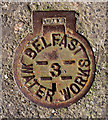 J3373 : Belfast Water Works cover by Rossographer