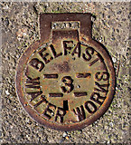 J3373 : Belfast Water Works cover by Rossographer