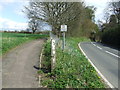 Footpath And Road