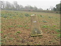 Ordnance Survey Trig Pillar S1672