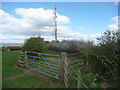 Field access track above Mintfield Farm