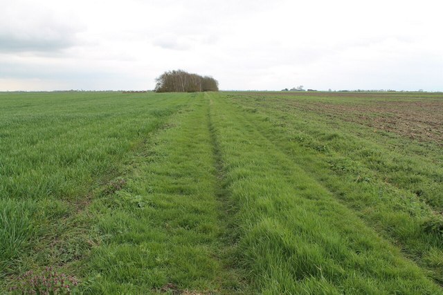 Grass Track on Dunsby Fen