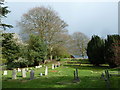 Within the Watts Chapel Cemetery (a)