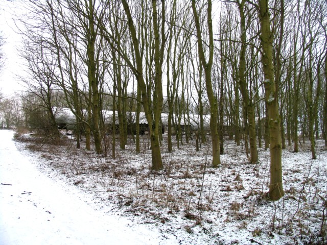 Former RAF Melton Mowbray buildings through the trees