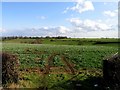 View towards Bishbrooke