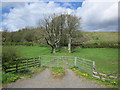 Farmland at Dalchomie