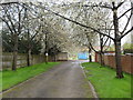 Broadmead Avenue Allotments