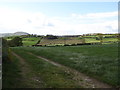 View across a field of cultivated grass towards the sun-lit upper valley of the Owenglass 