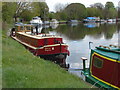 Thames riverboats