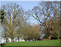 Pasture and oak trees near Chyknell Hall, Shropshire