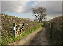 SX7561 : Drive entrance, Strawberry Farm by Derek Harper