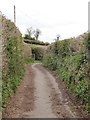 SX6860 : Narrow Lane below Aish Ridge by Tony Atkin
