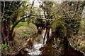 The River Thames from Neigh Bridge