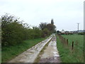 Track to Barkston Lodge