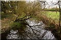 The River Thames from Neigh Bridge