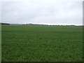 Farmland off Brant Road