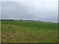 Farmland, Fulbeck Low Fields