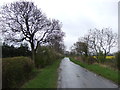 Brant Road towards Fulbeck