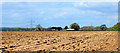 2012 : Farmland west of Nibley Lane