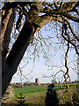 SO7894 : Farmland near Claverley, Shropshire by Roger  D Kidd