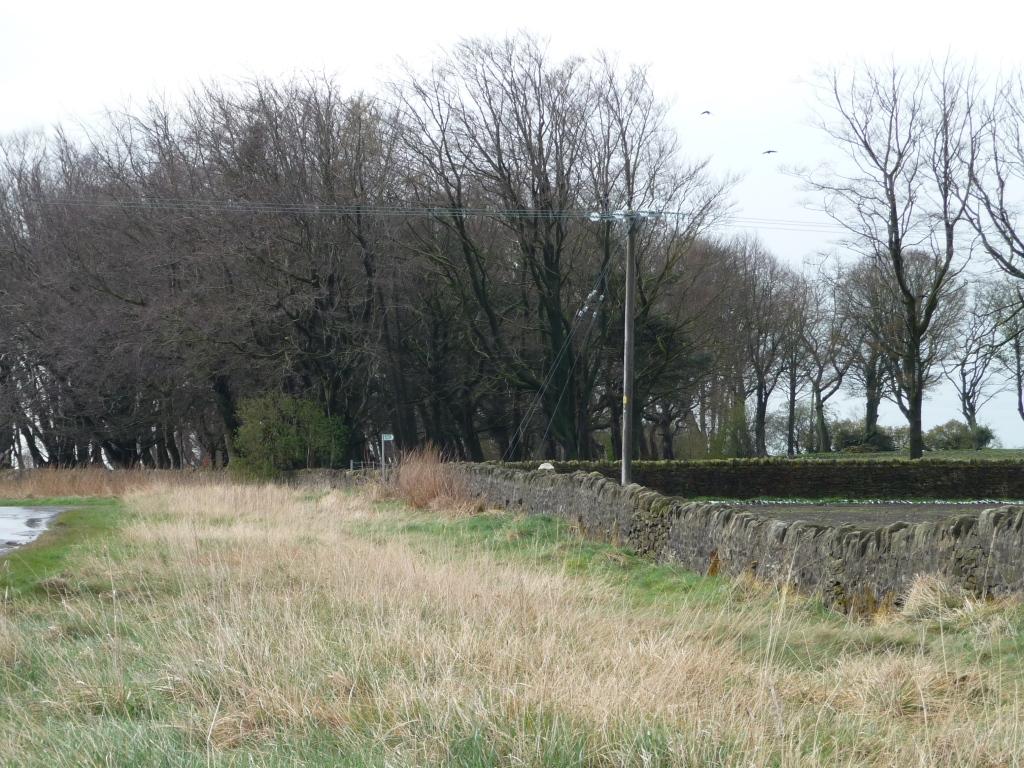 Bridleway Sign Green Lane © Christine Johnstone Geograph Britain And Ireland 1711