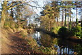 Towpath and canal