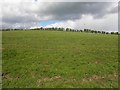 Ballyboley Townland