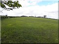 Ballyblack Townland