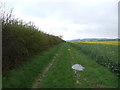 Farm track (footpath) heading north