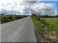 Moss Road, Killaghy