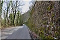 Stone Wall on the Red Road in Churnet Valley