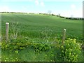 Ballyfinragh Townland