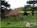 Within the Watts Chapel Cemetery (t)