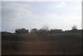 Rough grassland by the railway