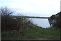 Looking towards flooded gravel pit, Crow Park Farm